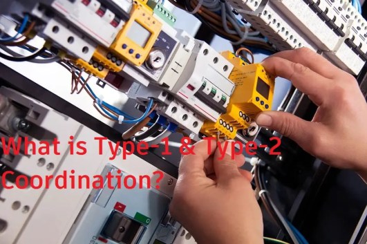 ¿Qué es la coordinación tipo 1 y tipo 2?