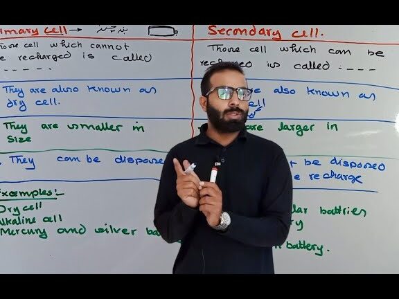 Diferenciar entre paredes primarias y secundarias.